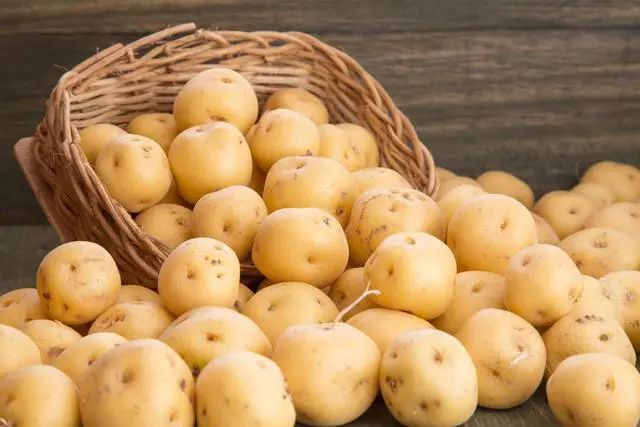 土豆（马铃薯）贮藏保鲜操作规程